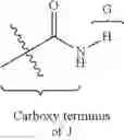 Fig. 26 - Cell-penetrating peptides for antisense delivery