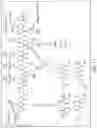 Fig. 09 - METHODS OF TREATING CANCER USING COMPOUNDS CONTAINING A VASCULAR DISRUPTING AGENT