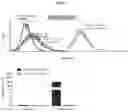 Fig. 03 - MACROMOLECULAR PLATFORM FOR TARGETING SCAVENGER RECEPTOR A1