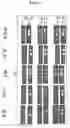 Fig. 07 - MACROMOLECULAR PLATFORM FOR TARGETING SCAVENGER RECEPTOR A1