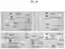 Fig. 11 - MACROMOLECULAR PLATFORM FOR TARGETING SCAVENGER RECEPTOR A1