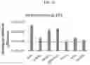 Fig. 12 - MACROMOLECULAR PLATFORM FOR TARGETING SCAVENGER RECEPTOR A1