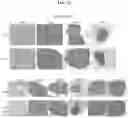 Fig. 13 - MACROMOLECULAR PLATFORM FOR TARGETING SCAVENGER RECEPTOR A1
