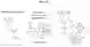 Fig. 16 - MACROMOLECULAR PLATFORM FOR TARGETING SCAVENGER RECEPTOR A1