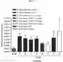 Fig. 08 - COMBINATIONS AND MODES OF ADMINISTRATION OF THERAPEUTIC AGENTS AND COMBINATION THERAPY