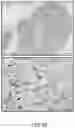 Fig. 44 - Methods of treatment using ultrasmall nanoparticles to induce cell death of nutrient-deprived cancer cells via ferroptosis