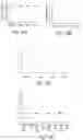 Fig. 46 - Methods of treatment using ultrasmall nanoparticles to induce cell death of nutrient-deprived cancer cells via ferroptosis