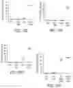 Fig. 47 - Methods of treatment using ultrasmall nanoparticles to induce cell death of nutrient-deprived cancer cells via ferroptosis