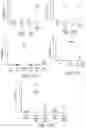 Fig. 50 - Methods of treatment using ultrasmall nanoparticles to induce cell death of nutrient-deprived cancer cells via ferroptosis