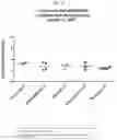 Fig. 09 - Gene Therapy For Ocular Improvement