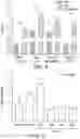 Fig. 05 - COMPOUNDS AND COMPOSITIONS USEFUL AS RADIOTRACERS FOR IMAGING OF REACTIVE OXIDATIVE SPECIES