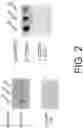 Fig. 03 - Compositions And Methods For Imaging Immune Cells