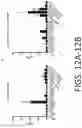 Fig. 13 - Compositions And Methods For Imaging Immune Cells