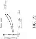 Fig. 19 - Compositions And Methods For Imaging Immune Cells