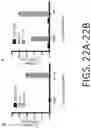 Fig. 22 - Compositions And Methods For Imaging Immune Cells