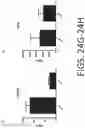 Fig. 25 - Compositions And Methods For Imaging Immune Cells