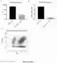 Fig. 29 - Compositions And Methods For Imaging Immune Cells
