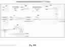 Fig. 46 - Compositions And Methods For Imaging Immune Cells