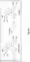 Fig. 47 - Compositions And Methods For Imaging Immune Cells