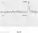 Fig. 48 - Compositions And Methods For Imaging Immune Cells