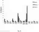 Fig. 53 - Compositions And Methods For Imaging Immune Cells
