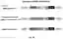 Fig. 56 - Compositions And Methods For Imaging Immune Cells