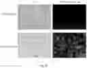 Fig. 58 - Compositions And Methods For Imaging Immune Cells