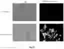 Fig. 60 - Compositions And Methods For Imaging Immune Cells