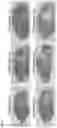 Fig. 05 - Radiolabeled compounds