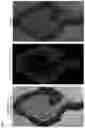 Fig. 07 - Radiolabeled compounds