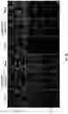 Fig. 10 - RADIOPHARMACEUTICALS AND METHODS OF USE THEREOF