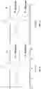 Fig. 13 - RADIOPHARMACEUTICALS AND METHODS OF USE THEREOF