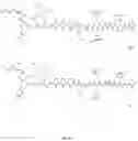 Fig. 19 - RADIOPHARMACEUTICALS AND METHODS OF USE THEREOF