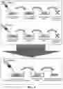 Fig. 06 - Medical material produced using collagen and method for producing same