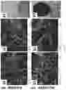 Fig. 04 - Alkyl chitosan-graphene oxide composite sponge and preparation method and application thereof