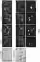 Fig. 06 - Three-dimensional bioprinting of cardiac patch with anisotropic and perfusable architecture