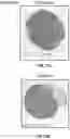 Fig. 32 - Three-dimensional bioprinting of cardiac patch with anisotropic and perfusable architecture