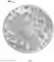 Fig. 03 - Growth factor transduced cell-loaded ceramic scaffold for bone regeneration and repair