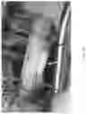 Fig. 10 - Growth factor transduced cell-loaded ceramic scaffold for bone regeneration and repair