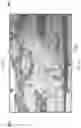 Fig. 15 - Growth factor transduced cell-loaded ceramic scaffold for bone regeneration and repair