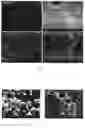 Fig. 02 - Method of making an osteoconductive polymer article and an osteoconductive polymer article thus made