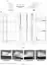Fig. 02 - Hydrogels based on blood plasma components, process and uses thereof