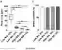 Fig. 04 - Hydrogels based on blood plasma components, process and uses thereof