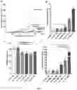 Fig. 08 - Hydrogels based on blood plasma components, process and uses thereof