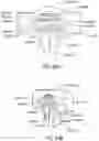 Fig. 65 - Drug delivery device, method of manufacture, and method of use