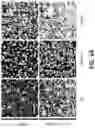 Fig. 65 - Methods and devices for providing a stimulus to a subject to induce gamma oscillations