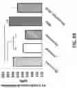 Fig. 90 - Methods and devices for providing a stimulus to a subject to induce gamma oscillations
