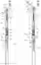 Fig. 12 - Intravenous Catheter Insertion And Blood Sample Devices And Method Of Use