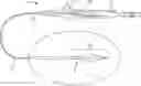 Fig. 01 - Cannula delivery catheter and procedure method