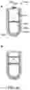 Fig. 12 - Active agent delivery devices and methods of using the same